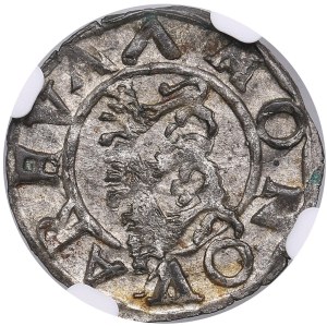 City of Reval under Swedish rule, Schilling ND - Johan III (1568-1592) - NGC MS 63