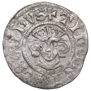 Bishopric of Dorpat AR Artig ND (c.1379-90) - Dietrich III Damerov (1379-1400)