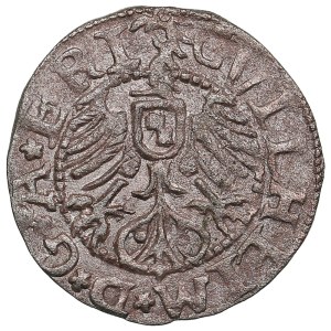 Archbishopric of Riga (Kokenhusen) Schilling 1563 - Wilhelm von Brandenburg (1539-1563)