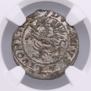 Duchy of Livonia (Dahlen) 1 Schilling 1572 - Jan Chodkiewicz (1566-1578) - NGC MS 63