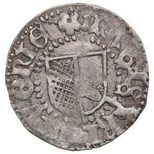 Livonian Order (Wenden) AR Schilling ND - Wolter von Plettenberg (1494-1535)