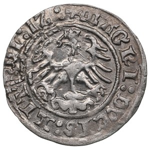 Lithuania, Grand Duchy (Vilnius) AR ½ Groat / Półgrosz 1512 - Sigismund I the Old (1506-1548)