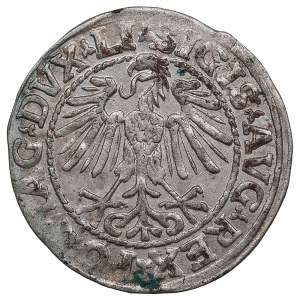 Lithuania, Grand Duchy (Vilnius) AR ½ Groat / Półgrosz 1548 - Sigismund II Augustus (1544-1572)
