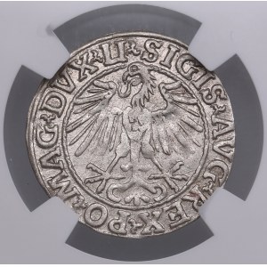 Lithuania, Grand Duchy (Vilnius) AR ½ Groat / Półgrosz 1548 - Sigismund II Augustus (1544-1572) - NGC AU 55