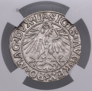 Lithuania, Grand Duchy (Vilnius) AR ½ Groat / Półgrosz 1548 - Sigismund II Augustus (1544-1572) - NGC AU 55