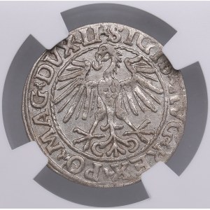 Lithuania, Grand Duchy (Vilnius) AR ½ Groat / Półgrosz 1548 - Sigismund II Augustus (1544-1572) - NGC AU 55
