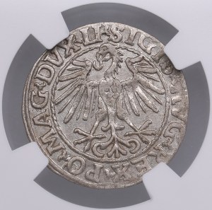Lithuania, Grand Duchy (Vilnius) AR ½ Groat / Półgrosz 1548 - Sigismund II Augustus (1544-1572) - NGC AU 55