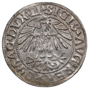 Lithuania, Grand Duchy (Vilnius) AR ½ Groat / Półgrosz 1549 - Sigismund II Augustus (1544-1572)