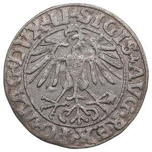 Lithuania, Grand Duchy (Vilnius) AR ½ Groat / Półgrosz 1550 - Sigismund II Augustus (1544-1572)