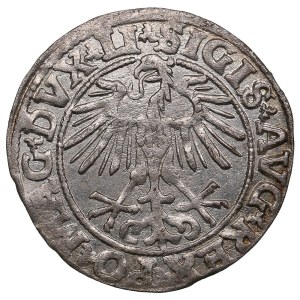 Lithuania, Grand Duchy (Vilnius) AR ½ Groat / Półgrosz 1551 - Sigismund II Augustus (1544-1572)