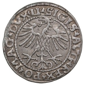 Lithuania, Grand Duchy (Vilnius) AR ½ Groat / Półgrosz 1552 - Sigismund II Augustus (1544-1572)