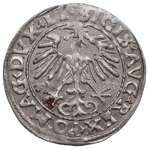 Lithuania, Grand Duchy (Vilnius) AR ½ Groat / Półgrosz 1555 - Sigismund II Augustus (1544-1572)