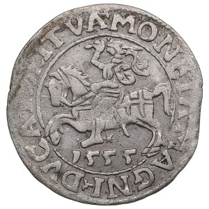 Lithuania, Grand Duchy (Vilnius) AR ½ Groat / Półgrosz 1555 - Sigismund II Augustus (1544-1572)