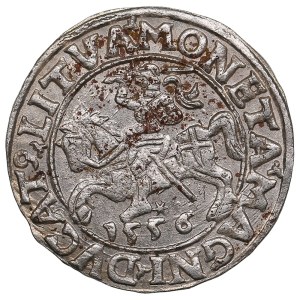 Lithuania, Grand Duchy (Vilnius) AR ½ Groat / Półgrosz 1556 - Sigismund II Augustus (1544-1572)