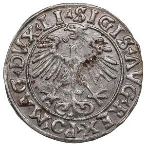 Lithuania, Grand Duchy (Vilnius) AR ½ Groat / Półgrosz 1556 - Sigismund II Augustus (1544-1572)