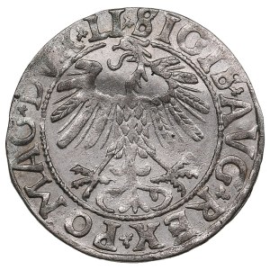 Lithuania, Grand Duchy (Vilnius) AR ½ Groat / Półgrosz 1558 - Sigismund II Augustus (1544-1572)