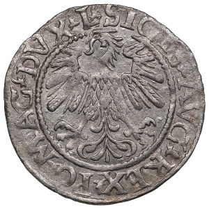 Lithuania, Grand Duchy (Vilnius) AR ½ Groat / Półgrosz 1559 - Sigismund II Augustus (1544-1572)