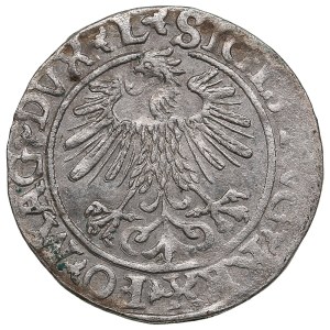 Lithuania, Grand Duchy (Vilnius) AR ½ Groat / Półgrosz 1560 - Sigismund II Augustus (1544-1572)
