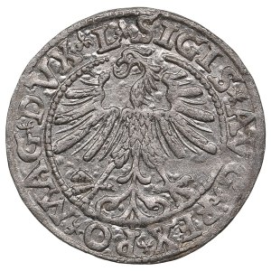 Lithuania, Grand Duchy (Vilnius) AR ½ Groat / Półgrosz 1563 - Sigismund II Augustus (1544-1572)
