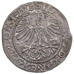 Lithuania, Grand Duchy (Vilnius) AR ½ Groat / Półgrosz 1564 - Sigismund II Augustus (1544-1572)