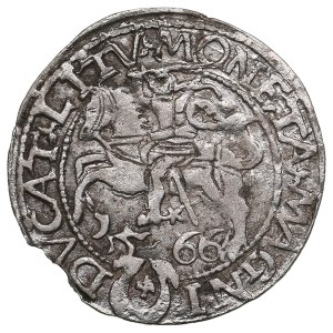 Lithuania, Grand Duchy (Tykocin) AR ½ Groat / Półgrosz 1566 - Sigismund II Augustus (1544-1572)