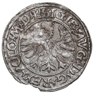 Lithuania, Grand Duchy (Tykocin) AR ½ Groat / Półgrosz 1566 - Sigismund II Augustus (1544-1572)