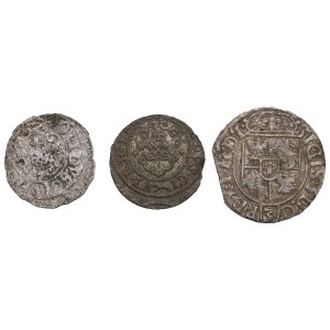Coins of Sigismund III Vasa (1587-1632) (3)