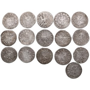 Lithuania, Grand Duchy (Vilnius) AR ½ Groat / Półgrosz ND (16) - Alexander I Jagiellon (1492-1506)