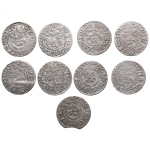 Polish-Lithuanian Commonwealth (Bydgoszcz) AR 1½ Groschen / Półtorak 1621-1624 - Sigismund III Vasa (1587-1632) (9)