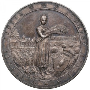 Finland (Russia, St.Petersburg mint) Silver Prize Medal 1894 - 10th Agricultural Exhibition in Vaasa - Alexander III (18