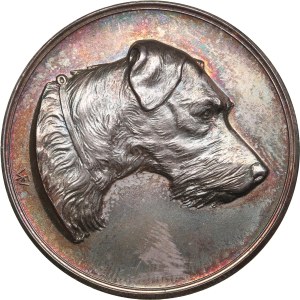 Finland (Russia) Silver (Silvered) Medal of Finnish Fox Terrier Club ND (Before 1917)