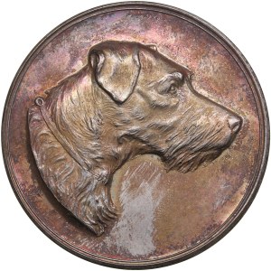 Finland (Russia) Silver (Silvered) Medal of Finnish Fox Terrier Club ND (Before 1917)