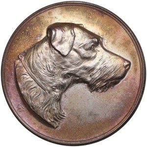 Finland (Russia) Silver (Silvered) Medal of Finnish Fox Terrier Club ND (Before 1917)