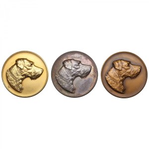 Set of Finland (Russia) Prize (I, II, III place) Medals of Finnish Fox Terrier Club ND (Before 1917) (3)