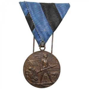 Estonia Award Bronze Medal 1920 - In memory of the Estonian War of Independence 1918-1920