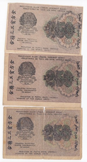 Russia (RSFSR) 250 Roubles 1919 (3)
