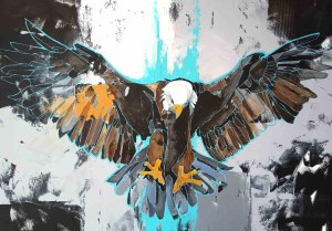 Sylwia Wenska, Haliaeetus leucocephalus (Eagle), 2023