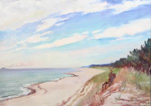 Stanislaw Zurawski (1889 Krosno - 1976 Krakow), Coast of the Sea
