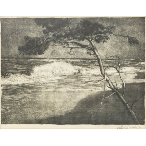 Stanisław Szwarc (1880-1953 Kraków), Morze