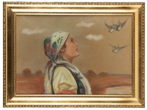 MN - First half of the 20th century, Swallows are flying
