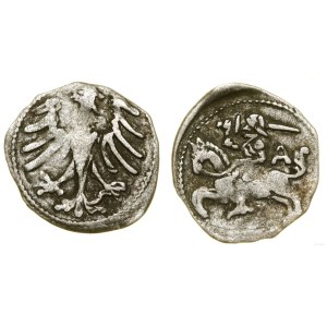 Polska, denar, Wilno