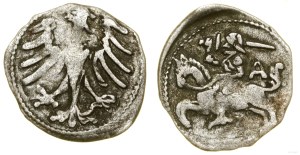 Poland, denarius, Vilnius