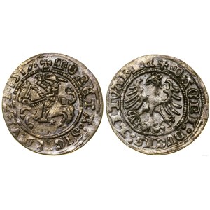 Polska, półgrosz, 1517, Wilno