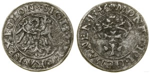 Poland, sheląg, 1546, Gdansk