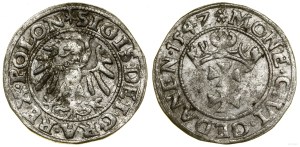 Poland, sheląg, 1547, Gdansk