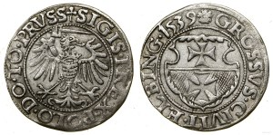 Poland, penny, 1539, Elbląg