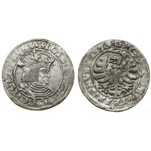 Polska, grosz, 1529, Toruń