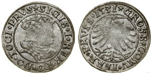 Poland, penny, 1531, Torun
