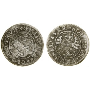 Poland, sheląg, 1529, Toruń