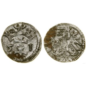 Polska, denar, 1551, Gdańsk